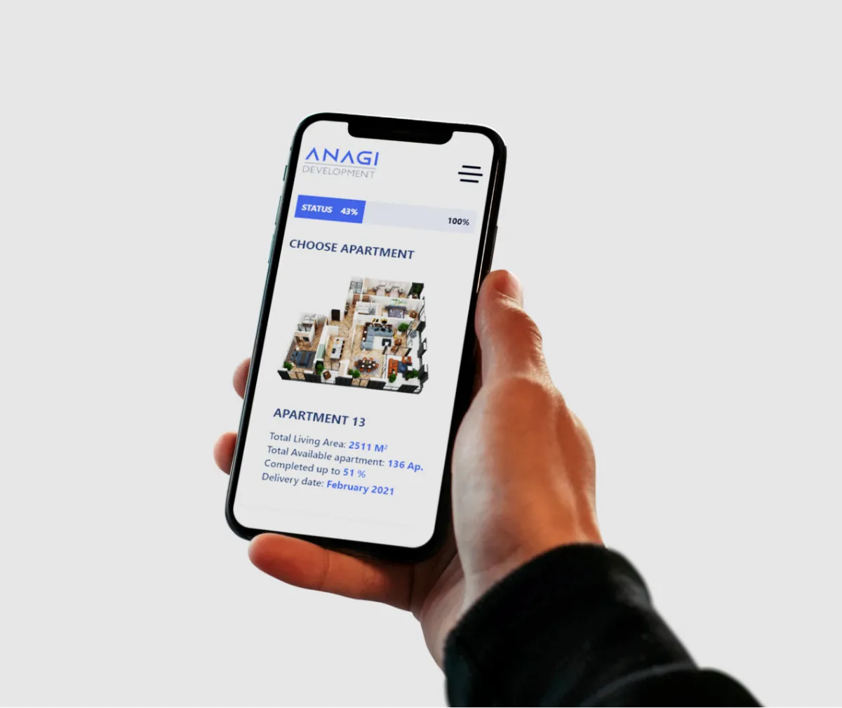 Digital Services - Anagi Development